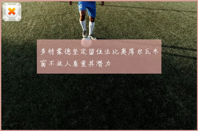多特蒙德坚定留住法比奥席尔瓦冬窗不放人看重其潜力
